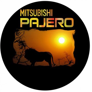 Spare wheel Cover Design