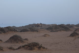 IMG_0283.JPG
