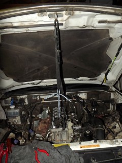 DSCF0390 (Large).JPG