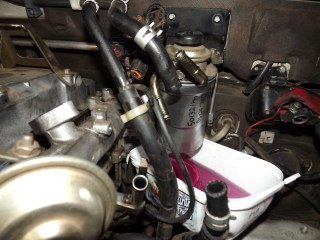 DSCF0365 (Large).JPG