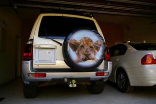 Spare_Wheel_Cover_Compressed.JPG