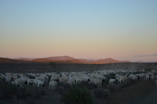 Skaaptrek 2018 406.JPG