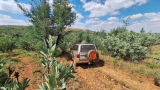 IMG-20260404-WA0016.jpg