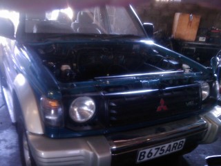 My Green Mamba.jpg