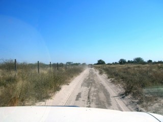 110 Driving the cutline to Makalamabedi.JPG