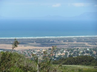 view from the top