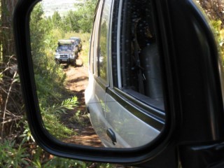 Mirror