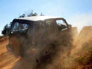 IMG_2341.jpg