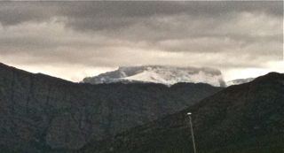 IMG_1576.jpg