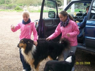 The pink ladies