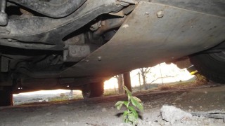 DSCF3053.JPG