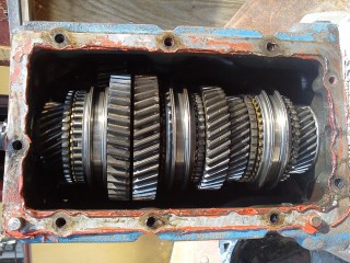 primary gears and shaft