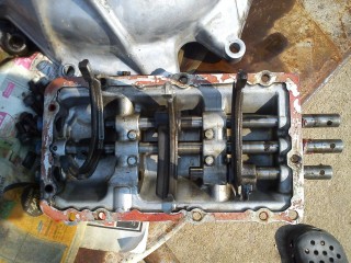 selector dog ears and cover