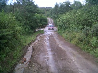 IMG00454-20111202-0800.jpg