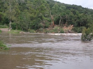 2011-12-02 07.44.00.jpg