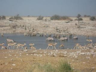34 Etosha.jpg