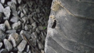 DSCF4459.JPG
