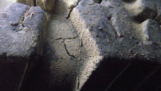 DSCF4455.JPG