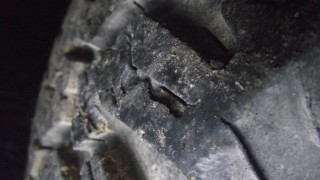 DSCF4450.JPG