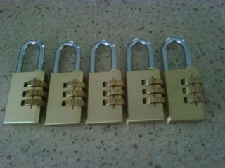 Trailer Locks.jpg