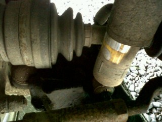 IMG00666-20120423-1145.jpg