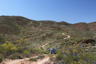 IMG_3107.JPG