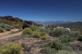 IMG_3116.JPG