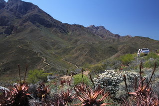 IMG_3117.JPG
