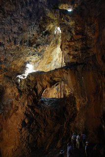 That old gold mine is huge!