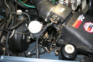 IMG_4505.JPG