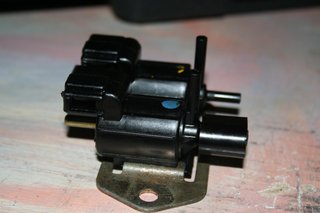 Photo 5.JPG