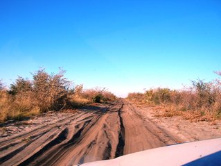 118 Road to Nxai Pan.JPG