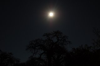 122 Full moon at Kubu.JPG