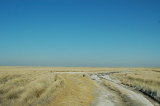 127 Track South from Kubu.JPG