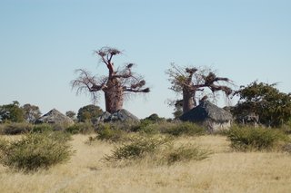 120 Village on route to Kubu.JPG