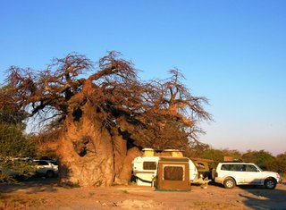 123 Campsite 1 at Kubu.JPG