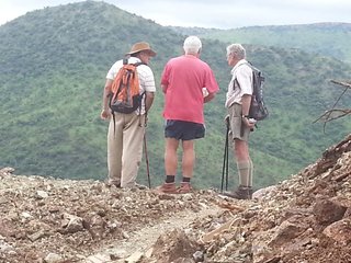 The old grey beards