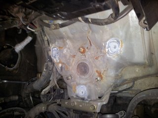 ImageUploadedByTapatalk1411553272.541398.jpg