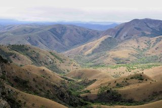 _DSC0106.jpg