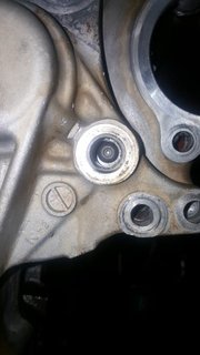 Bolt visible on pump gear through port
