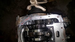 20151004_142509 (Medium).jpg