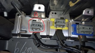 20160312_120025 - Copy.jpg