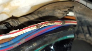 20160312_113730.jpg