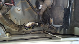 20160312_113753.jpg