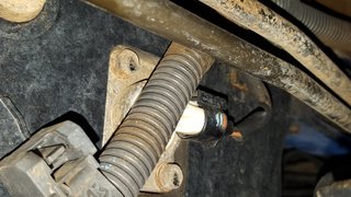 20160312_105131.jpg
