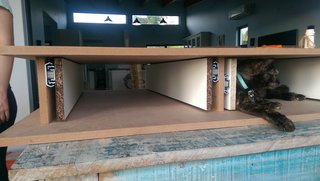 IMAG0444.jpg